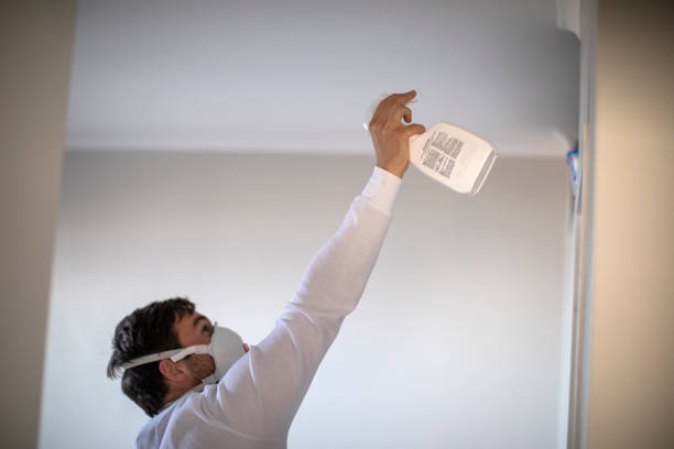 Best Mold Inspection  in Rockford, IL
