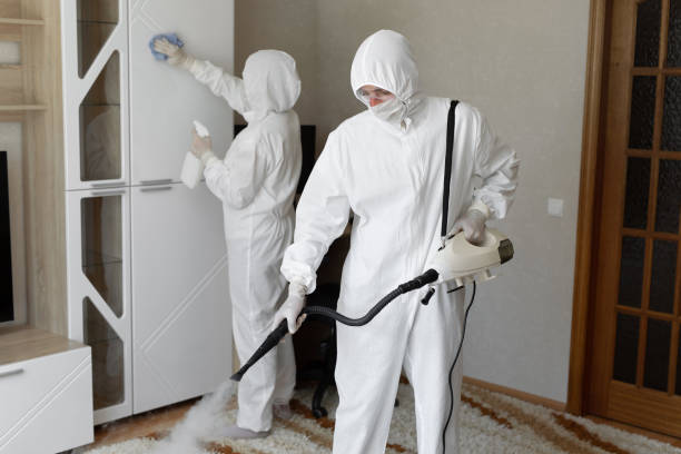 Best Mold Removal Process  in Rockford, IL