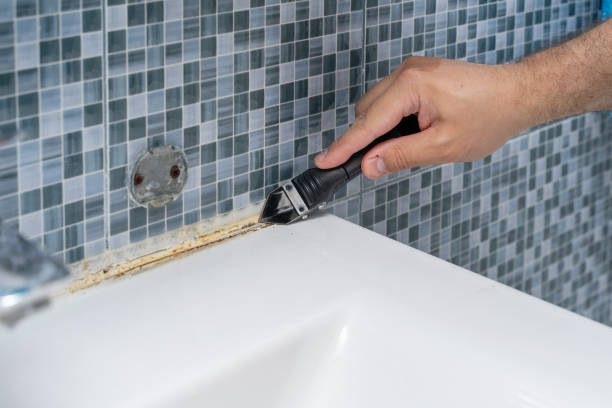 Best Professional Mold Removal  in Rockford, IL
